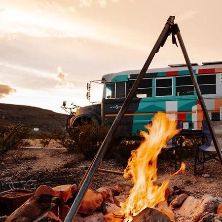 Camping At Desert Gardens Oasis In Lobo, Tx Van Horn Εξωτερικό φωτογραφία