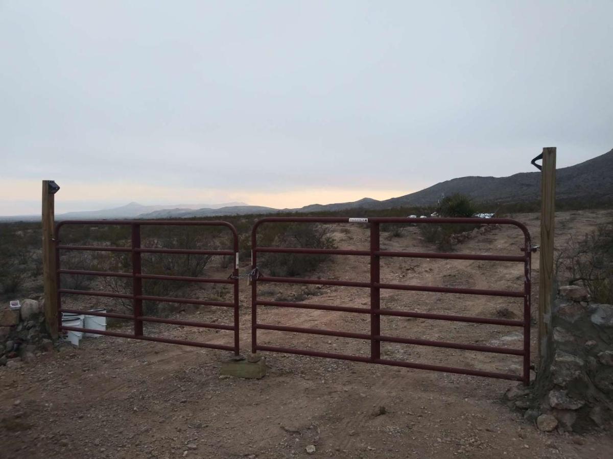 Camping At Desert Gardens Oasis In Lobo, Tx Van Horn Εξωτερικό φωτογραφία