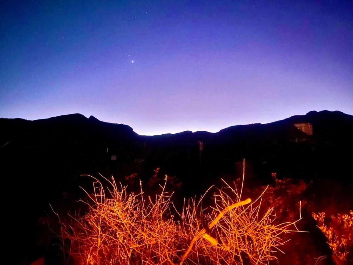 Camping At Desert Gardens Oasis In Lobo, Tx Van Horn Εξωτερικό φωτογραφία