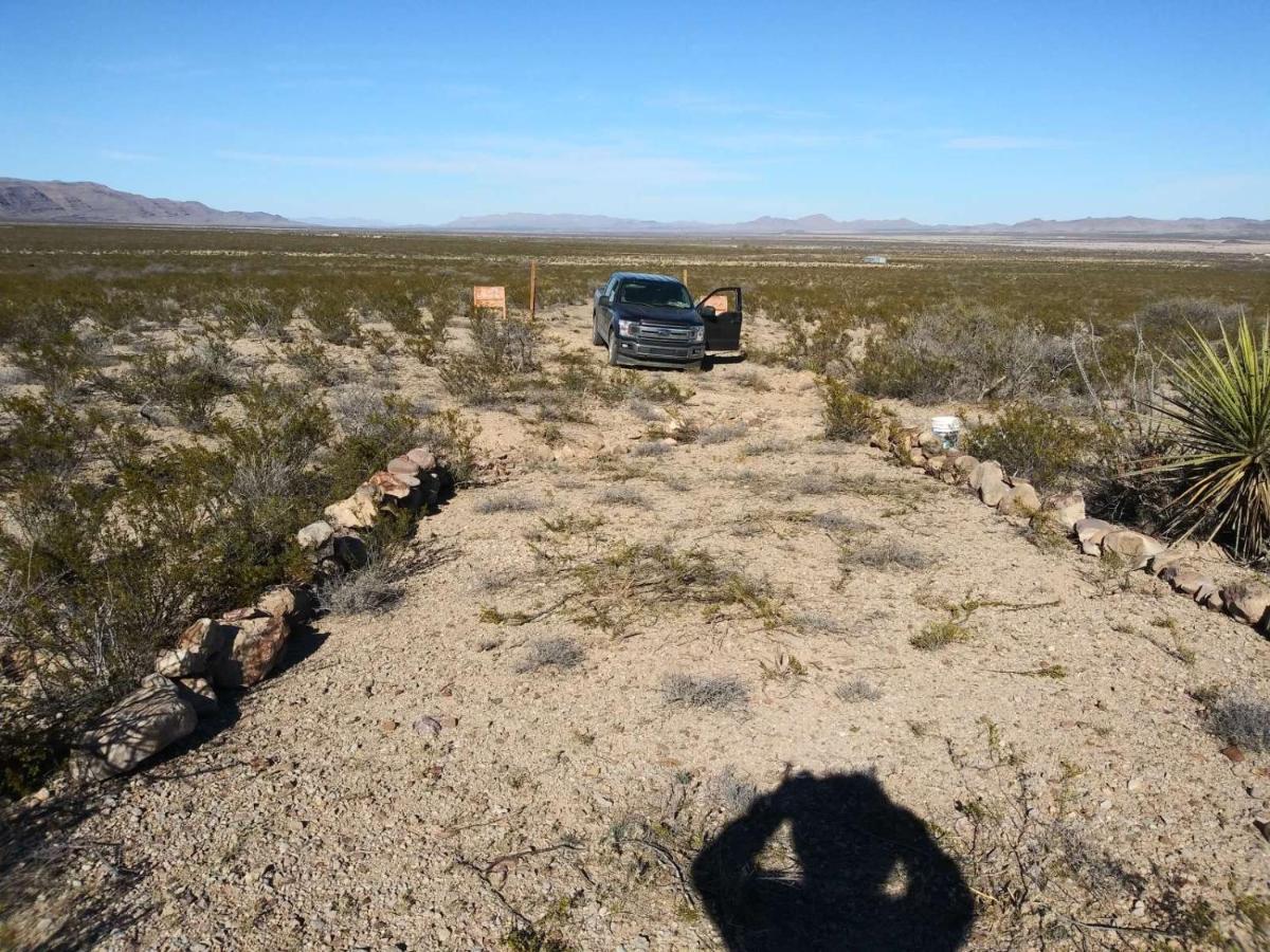 Camping At Desert Gardens Oasis In Lobo, Tx Van Horn Εξωτερικό φωτογραφία