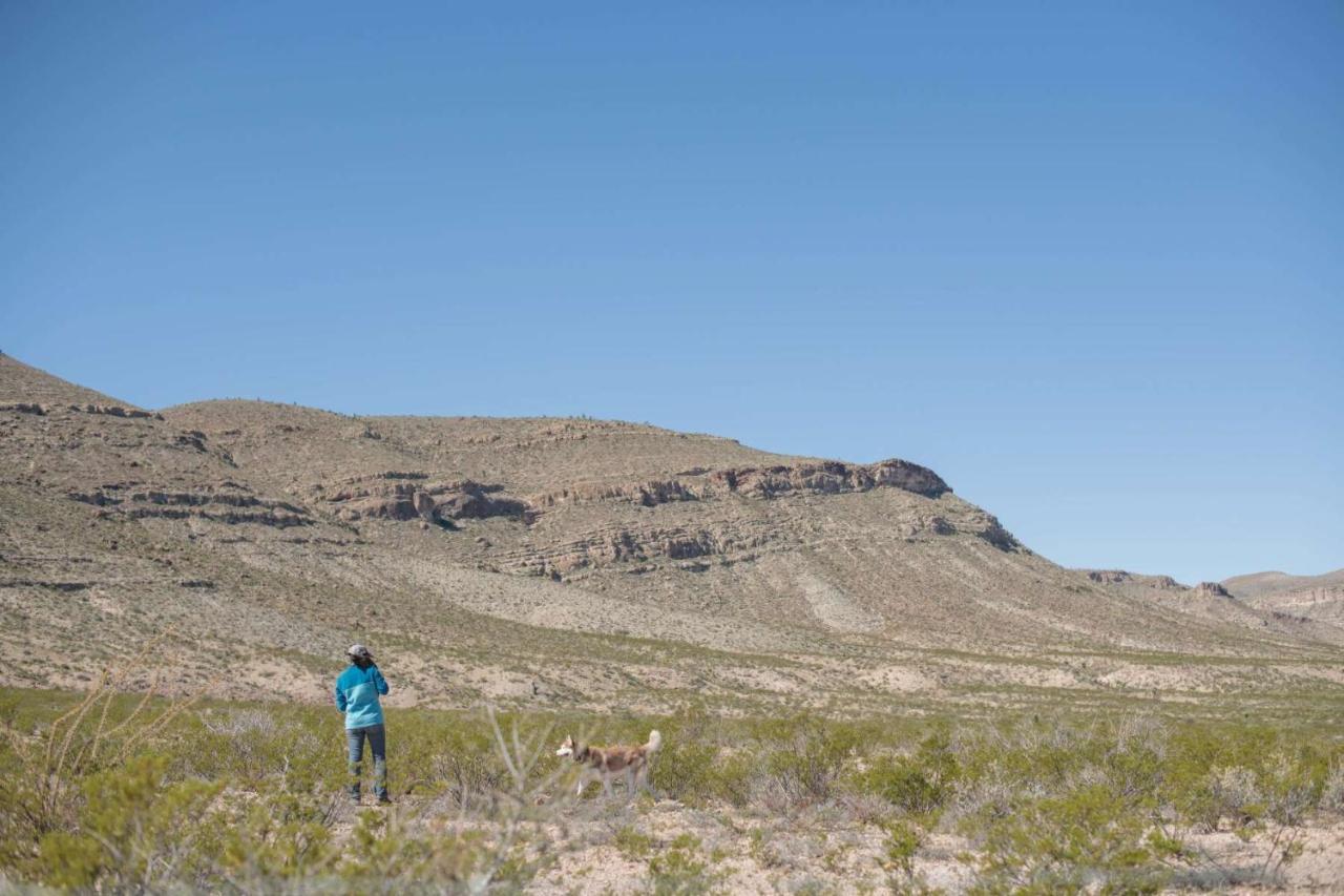 Camping At Desert Gardens Oasis In Lobo, Tx Van Horn Εξωτερικό φωτογραφία