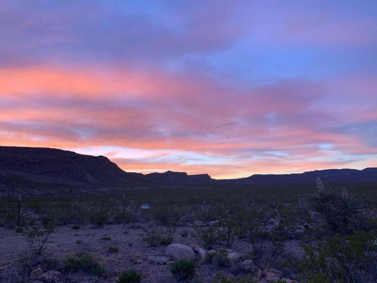 Camping At Desert Gardens Oasis In Lobo, Tx Van Horn Εξωτερικό φωτογραφία