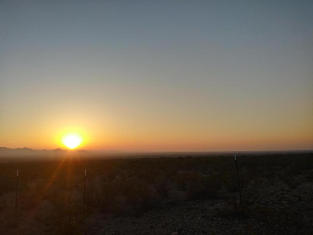 Camping At Desert Gardens Oasis In Lobo, Tx Van Horn Εξωτερικό φωτογραφία