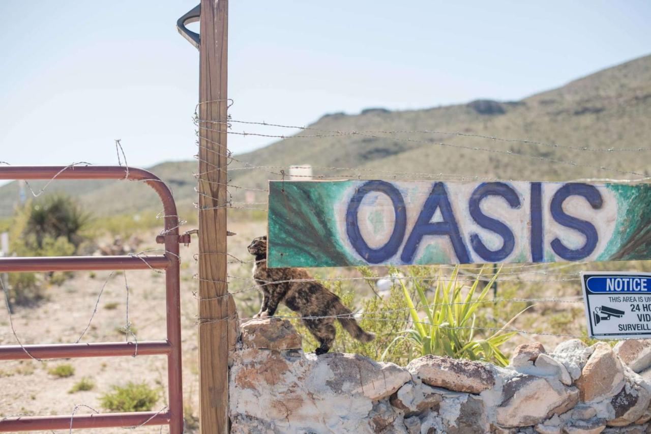 Camping At Desert Gardens Oasis In Lobo, Tx Van Horn Εξωτερικό φωτογραφία