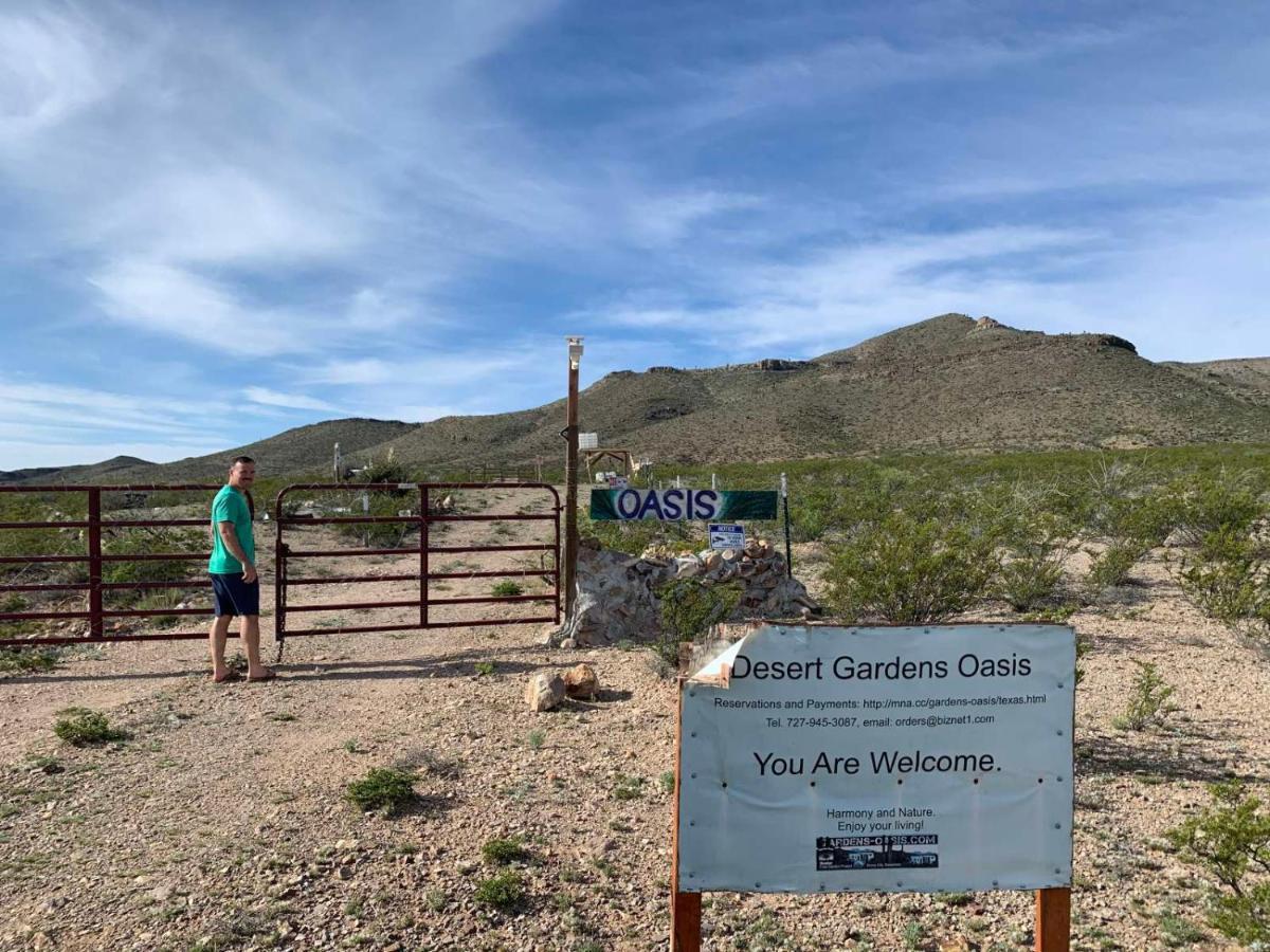 Camping At Desert Gardens Oasis In Lobo, Tx Van Horn Εξωτερικό φωτογραφία