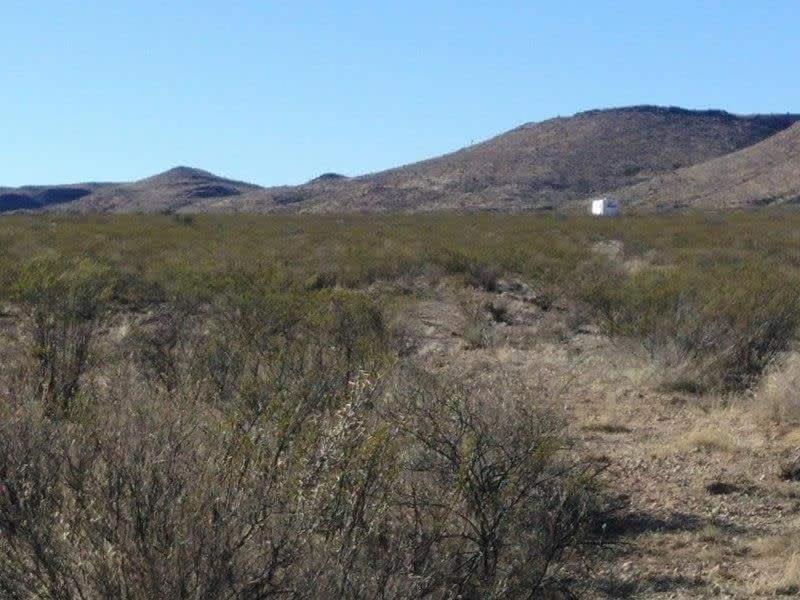 Camping At Desert Gardens Oasis In Lobo, Tx Van Horn Εξωτερικό φωτογραφία