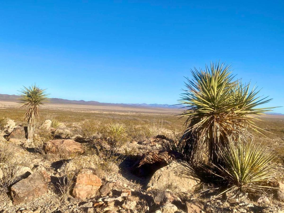 Camping At Desert Gardens Oasis In Lobo, Tx Van Horn Εξωτερικό φωτογραφία