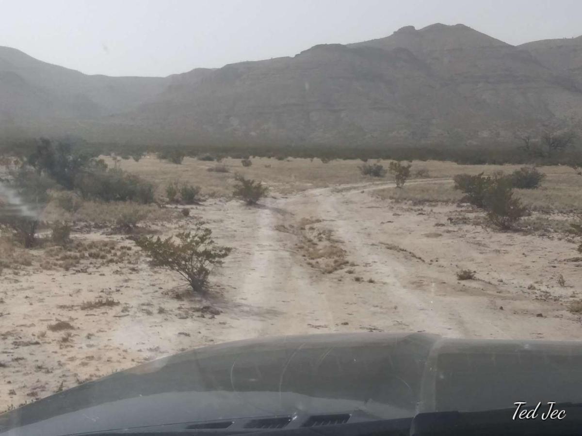 Camping At Desert Gardens Oasis In Lobo, Tx Van Horn Εξωτερικό φωτογραφία