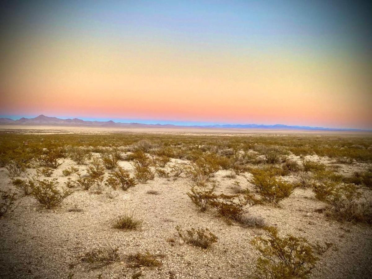 Camping At Desert Gardens Oasis In Lobo, Tx Van Horn Εξωτερικό φωτογραφία